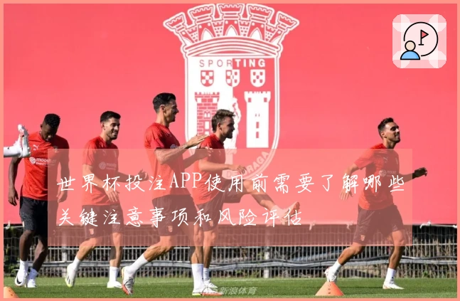 世界杯投注APP使用前需要了解哪些关键注意事项和风险评估
