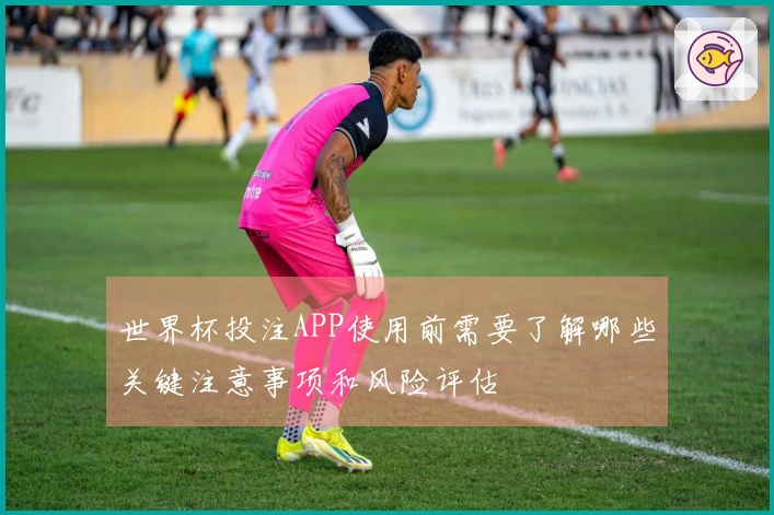 世界杯投注APP使用前需要了解哪些关键注意事项和风险评估